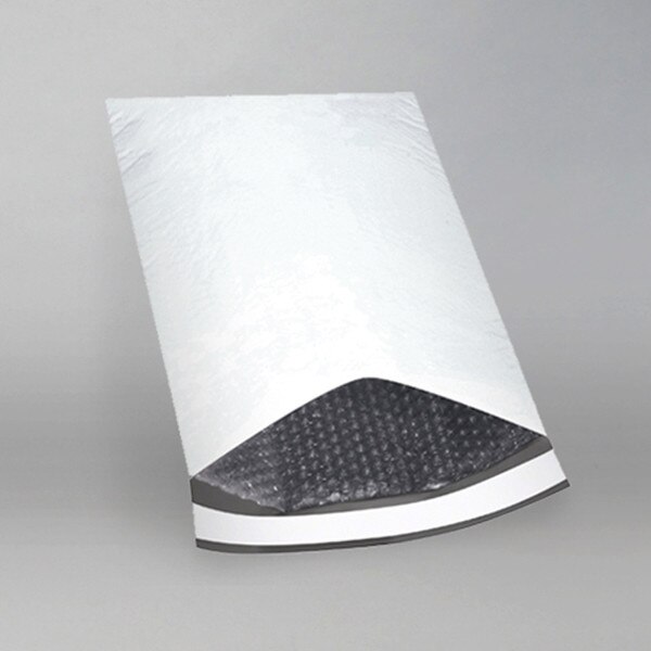 Bubble Mailer #2